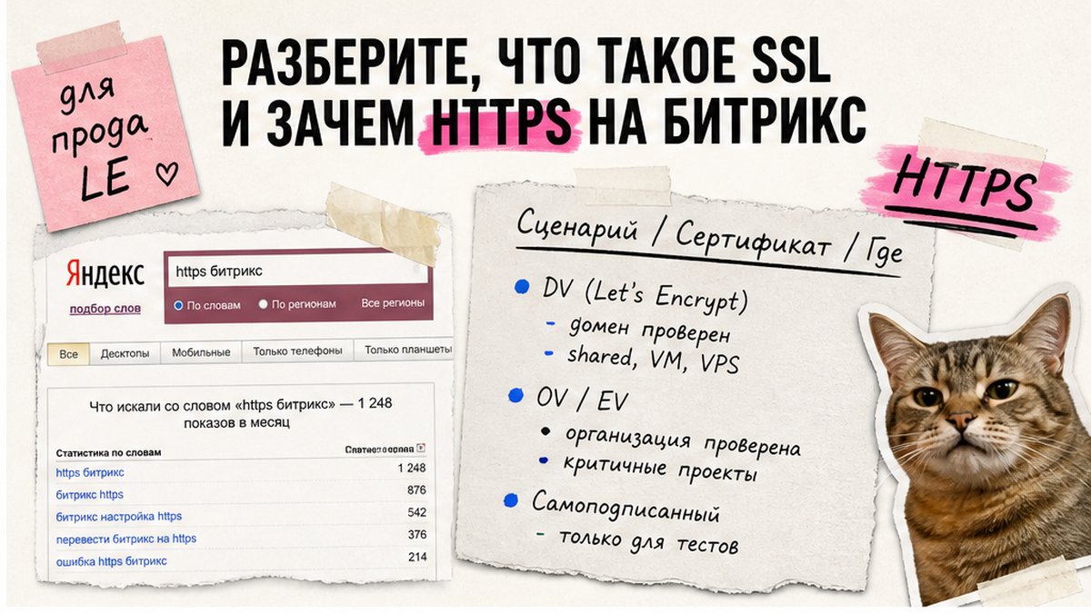 Таблица типов SSL-сертификатов для сайта на 1С-Битрикс: DV, OV/EV, самоподписанный